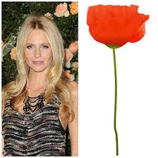 The former couple's divorce proceeding got finalized in 2013. Top 10 Celebrity Names That Bloom Interflora