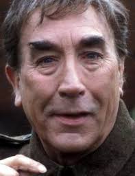 Whoops Baghdad! cast