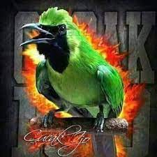 Buat wallpaper keren dan lain dari yang lain admin akan siapkan buat anda dengan beberapa macam misalnya gambar wallpaper burung cucak ijo, , serta anda juga dapat menggunakanya di hp android. Komunitas Cucak Ijo Singaraja Bali Posts Facebook
