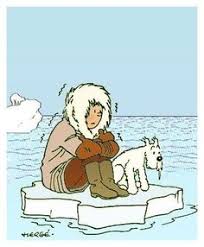 900+ Tin Tin & Snowy ideas