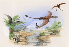Drachenbilder Drachenbilder Findart Cc Der jura beschreibt eine epoche der erdgeschichte, die vor etwa 201 millionen jahren einsetzte und circa 55 millionen jahre andauerte.