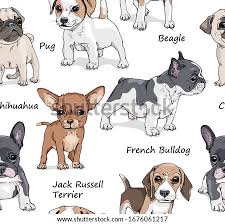 The cn city era (often shortened to city) was the fourth era of cartoon network. Two Puppies Cliparts Bulldog Puppy Clipart Stunning Free Transparent Png Clipart Images Free Download