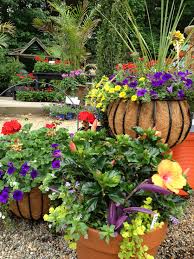 We did not find results for: Sun Combo Pots Container Flowers Container Gardening Flowers Flower Pots