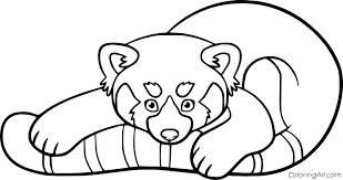 Red panda cartoon coloring page. Simple Cartoon Red Panda Coloring Page Coloringall