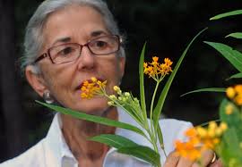 How native plants can rebuild Georgia food webs