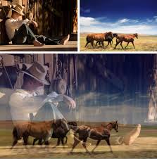 Make sure the background layer is selected and fill it with the color you've picked. How To Adjust Layer Opacity In Photoshop Elements 11 Dummies