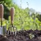2025 Spring Gardening Class Series