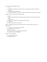 English grammar worksheets for grade 1. Central Dogma Of Biology Pogil Answers