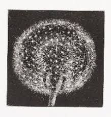 Black And Blue Cohosh To Induce Labor Safe Dandelion Ii Monoprint Linocut Woodcut