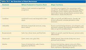 Growth hormone (gh) or somatotropin, also known as human growth hormones (hgh or hgh) in its human form, is a peptide hormone that stimulates growth, cell reproduction. Plant Growth Regulators Summary Hormones Plant Growth Growth Hormone