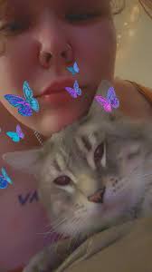 Hillsboro Oregon Lost/Found Pets