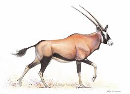 Oryx Aka Gemsbok Antelope Watercolour And Ink Animals Artwork Animal Art Animals