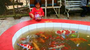 Kasih Makan Ikan Burung Dan Lihat Kura Kura Besar Banget Taman Burung Mini Matahari Youtube