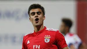 Pin On Sport Lisboa E Benfica