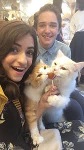 Fuller House teases '90s reference in latest episode