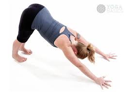 Pin By Sam Sheikh On Yoga Downward Facing Dog Upward Facing Dog Dolphin Pose