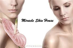 松之頌(電話沒有聽，網站更新至2015.1月) Pom's Tale Professional Grooming Service附近商舖-  樓上舖UPPERSHOP.HK