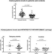 Image result for site:byggahus.se platt tak system