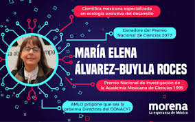Messico, crolla viadotto della metro, almeno 23 morti | il manifesto. Marcelo Ebrard C Auf Twitter La Nueva Directora Del Conacyt A Partir Del 1o De Diciembre