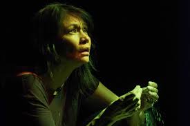 Firehall Arts Centre partner page — Stir