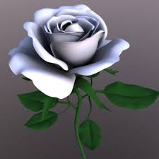 3d Rose Flower Model Flower Model Flowers Rose
