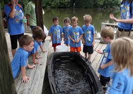 Please reach out to the education. Tulsa Zoo Offers Summer Camp For Kids Local News Tulsaworld Com