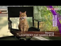 ulichnyj kot po imeni bob a street cat named bob klip clip youtube cat names cats street cat bob