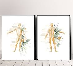 Muscular System Art Anatomy Art Set Medical Art Set Massage Etsy Massage Room Design Therapist Office Decor Massage Art