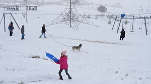 Winds variable at 5 to 11 mph (8.0 to 17.7 kph) (8.0 to 17.7 kph). Weather Forecast Snow And Icy Temperatures Hits Parts Of Nsw Victoria And Canberra