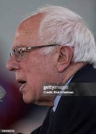 486 Bernie Friedman Photos & High Res Pictures