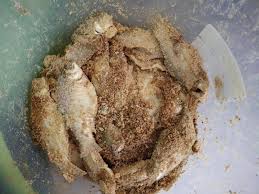 Cara lain membuat pakan ikan adalah dengan membuat sendiri pakan ikan selain pelet tetapi dengan kandungan yang sama. Cara Paling Mudah Buat Ikan Pekasam Sendiri Memang Terlajak Sedap Rasanya Keluarga
