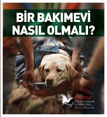 ornek hayvan bakimevleri kutuphane haytap haytap hayvan haklari federasyonu