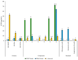 Image result for Antrocaryon