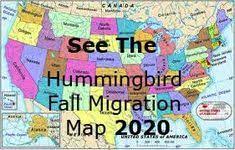 Check spelling or type a new query. 24 Hummingbird Migration Maps Ideas In 2021 Hummingbird Migration Hummingbird Migrations