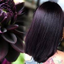 Pulpriot Baton Rouge Hair On Instagram Black Dahlia Flower P R O C E S S Starting Point Level 3v Roots 30g 3 22 10g 22 30 Hair Hair Beauty Dyed Hair