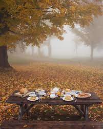 Foggy Morning Breakfast At Our Little Cottage In The Woods Vermont Gmgtravels Fallcolors Foggymorning Breakfas Fall Picnic Autumn Inspiration Autumn Cozy