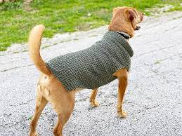 Elegantly simple, this ribbed dog coat will suit even the. Dog Sweater Knitting Pattern Straight Needles Handy Little Me