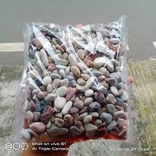Pengiriman cepat pembayaran 100% aman. Jual Batu Hias Aquarium 1kg Batu Pancawarna Batu Aquarium Batu Aquascape Terbaru Juli 2021 Blibli