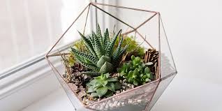 Furniture designers from design within reach, lunar, dror, and more tell us what they buy when they go to ikea. Unsere Top 5 Indoor Gardening Trends Fur 2017 Ikea Unternehmensblog