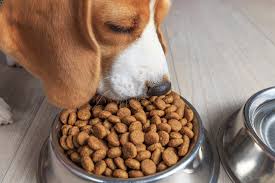Maybe you would like to learn more about one of these? Rising Pet Ownership And Premium Products Driving Pet Food Market The Food Institute