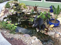 See more ideas about water features, ponds backyard, waterfalls backyard. Pond Waterfall Contractor Builder Deland Daytona Orlando Florida