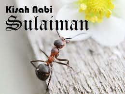 Salah satunya adalah nabi sulaiman a.s. Kisah Nabi Sulaiman Lengkap Dalam Al Quran Kuliah Islam