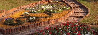 Landscape edging can create a solid base for your garden design to improve curb appeal. How To Use Log Rolls As Garden Edging Die Pale Depot