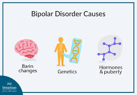 Image result for Mood Disorder