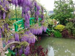 This is a good plant for shady locations, and it will tolerate full sun trumpet vine is a native southeastern u.s. 10 Perennial Vines For Shady Areas