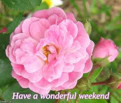 Have a nice weekend | beautiful weekend quotes. Have A Wonderful Weekend Imgflip