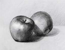 Pin On Still Life