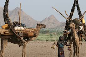 How well do the product specifications meet your requirements? Our House Is A Very Very Very Fine House Day 3 With The Afar Pastoralists Mystery And Wonder The Journey Continued