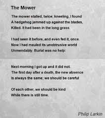 Pin On Pretty Inspirational Confrontational