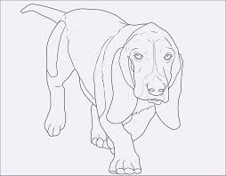 T Rex Zum Ausmalen Frisch Kostenloses Ausmalbild Hund Dackel